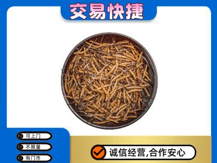 重庆市涪陵回收散虫草